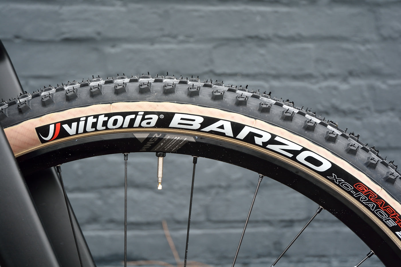 CHAOS MTB 29" carbon disc XT