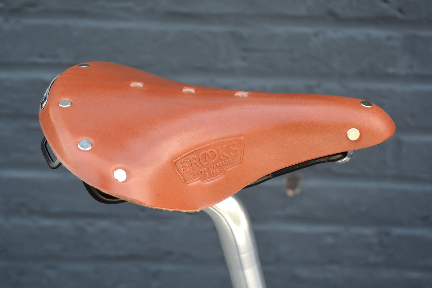 DVV Single Speed Man