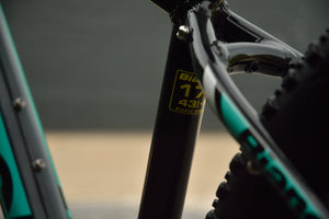 Bianchi Magma