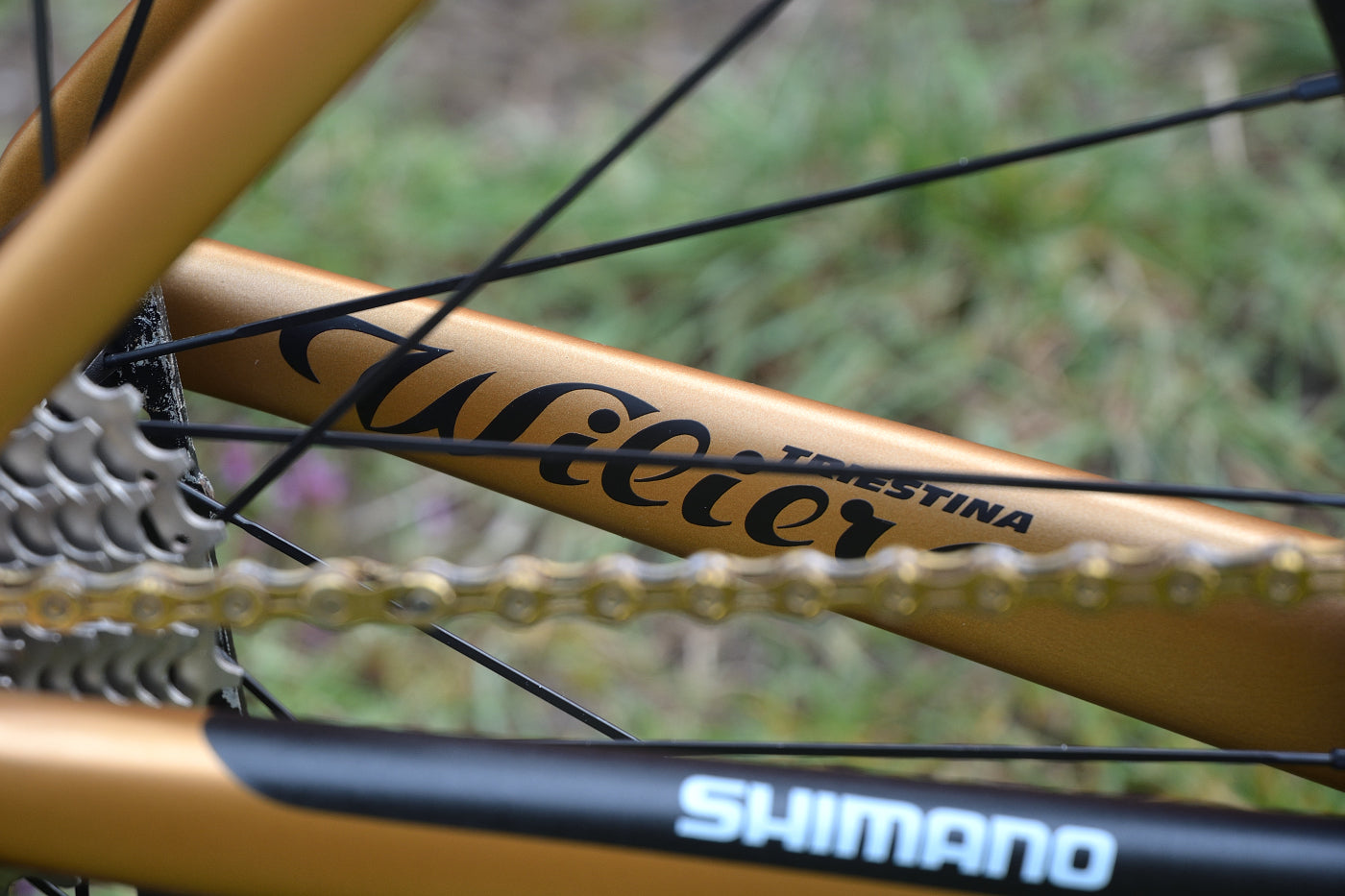 Wilier Cento