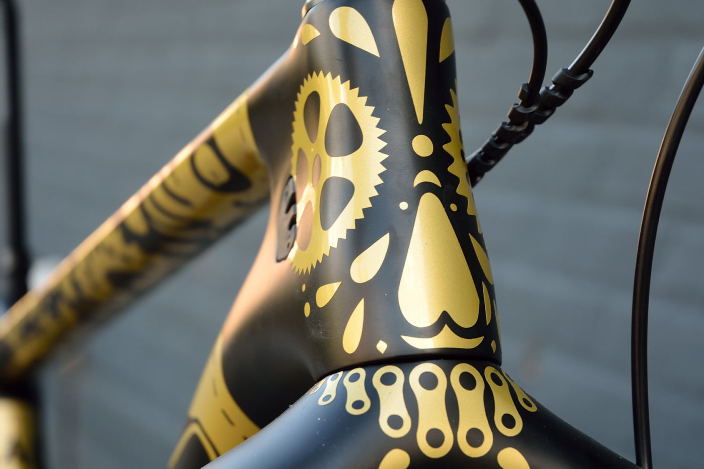 CHAOS MTB 29" carbon disc XT