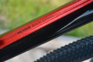 Storm 2.0 SLX