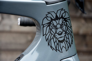 CHAOS Race Carbon Ultegra Di2